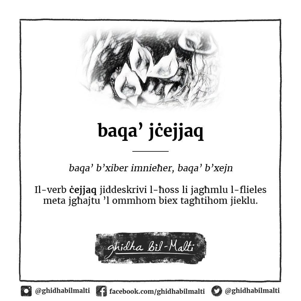 Baqa’ jċejjaq