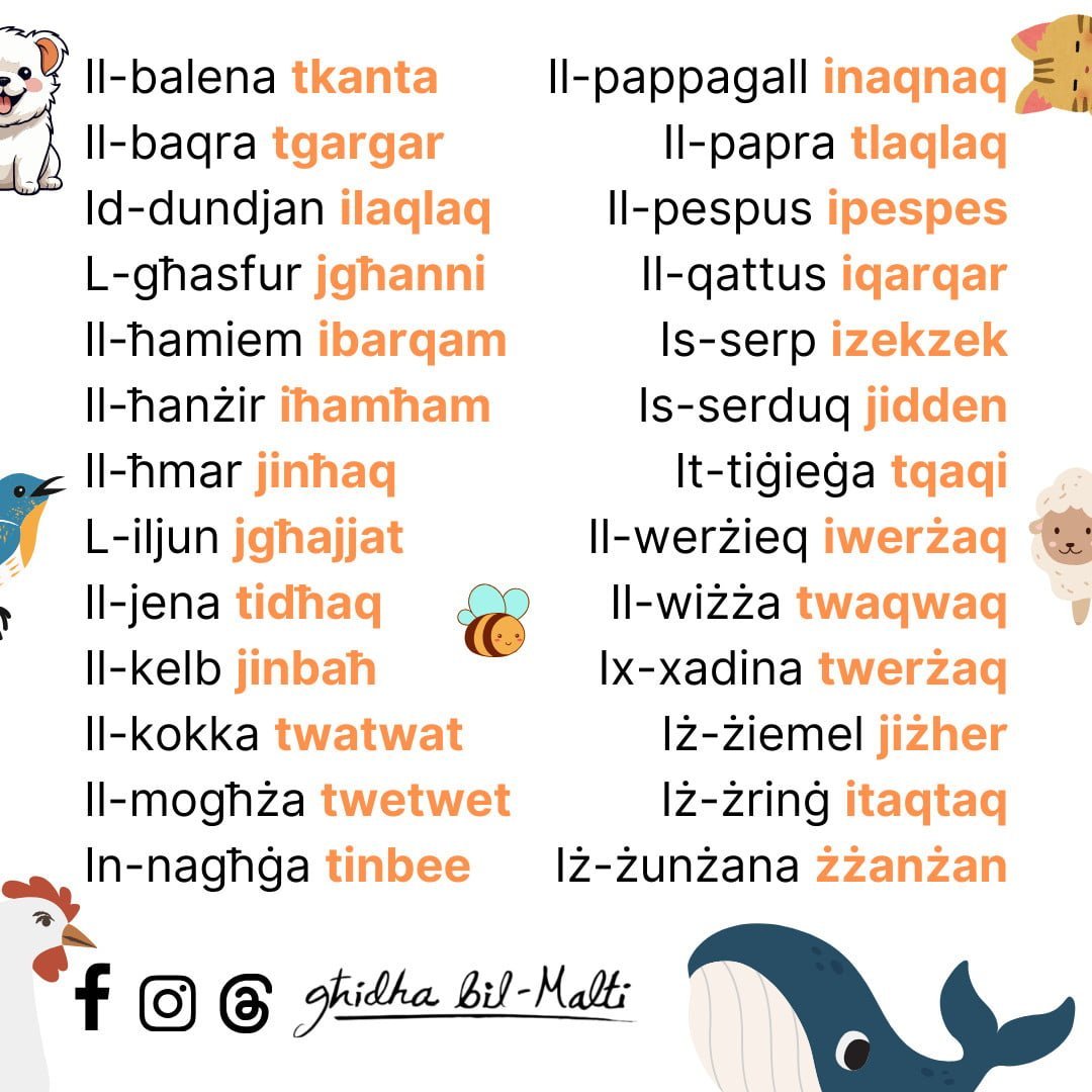 Dan x’ħoss hu? (2)