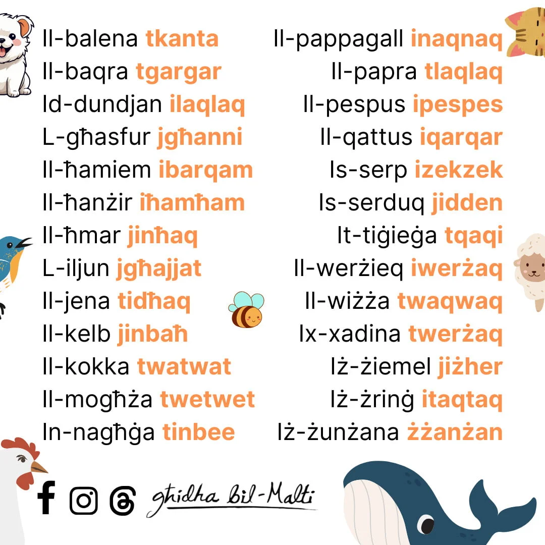 Dan x’ħoss hu? (2)