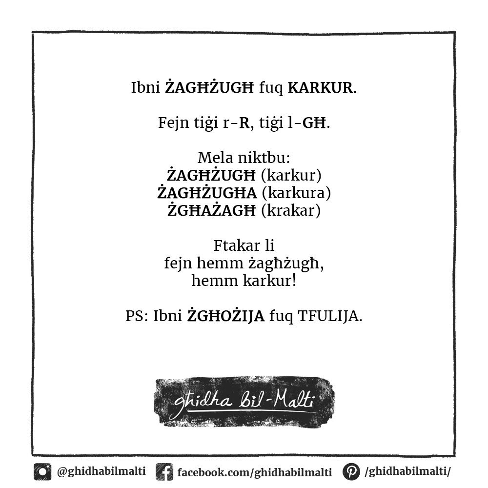 Ibni żagħżugħ fuq karkur