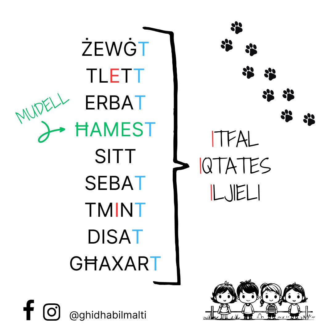 In-numri man-nom bit-t marbuta