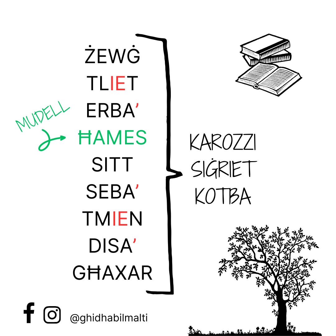 In-numri man-nom bla t marbuta