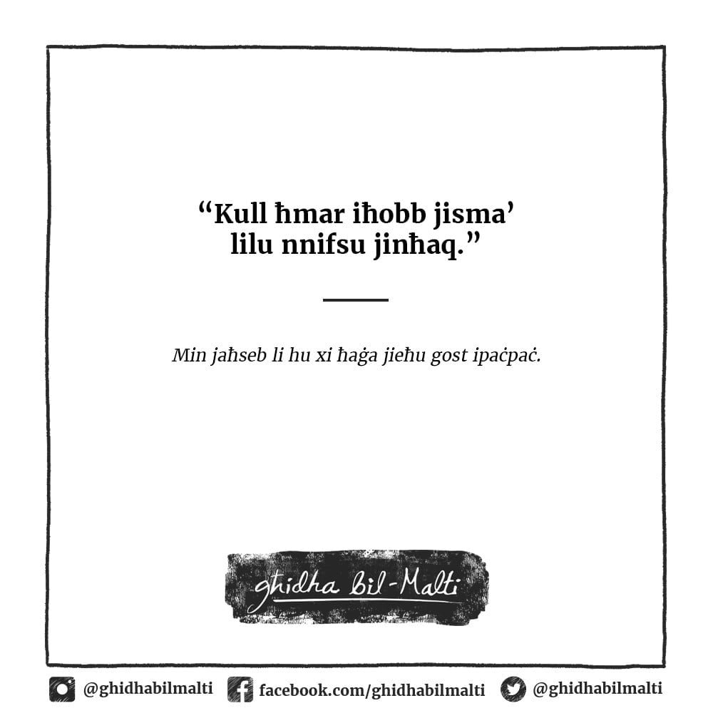 Kull ħmar iħobb jisma’ lil nnifsu jinħaq