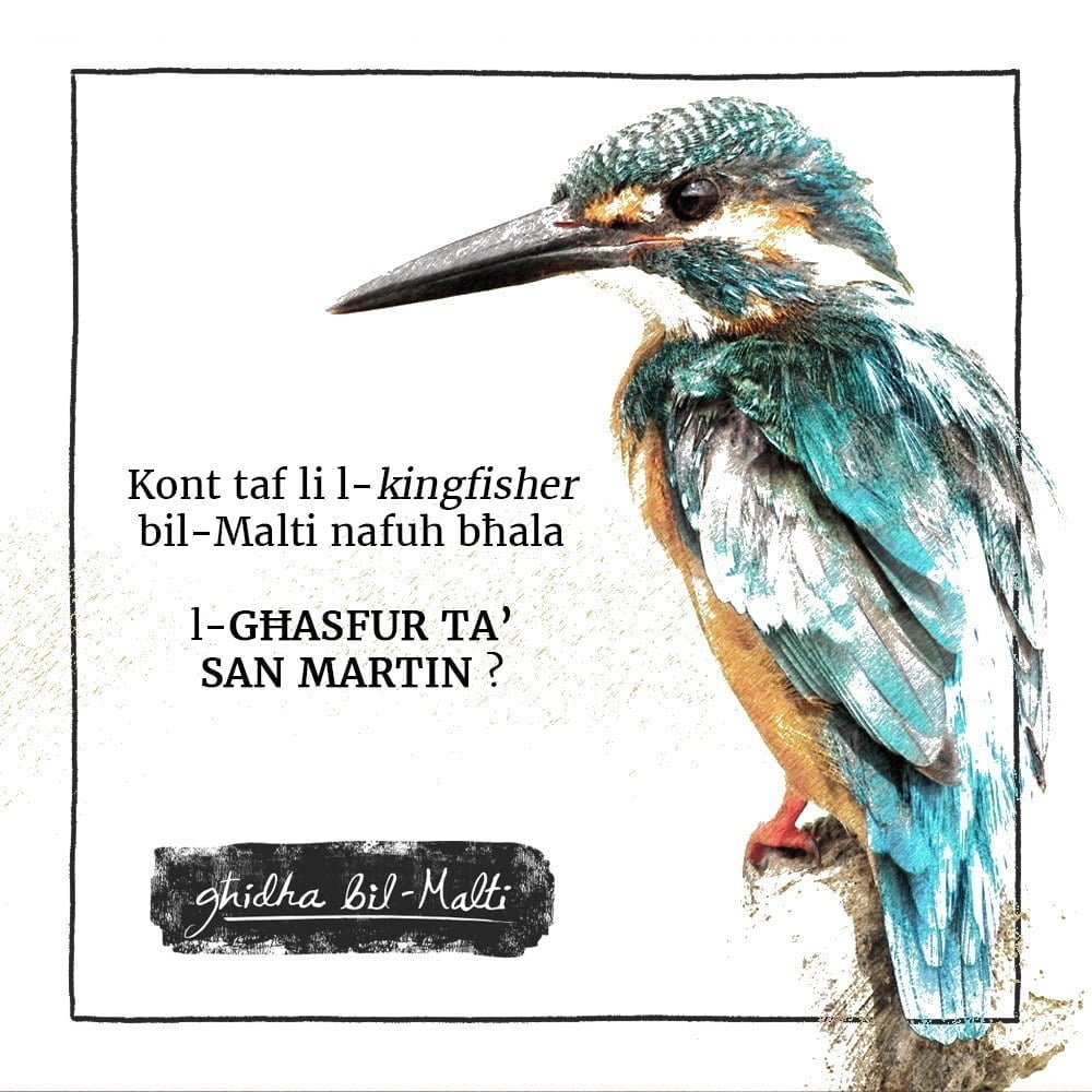 L-għasfur ta’ San Martin