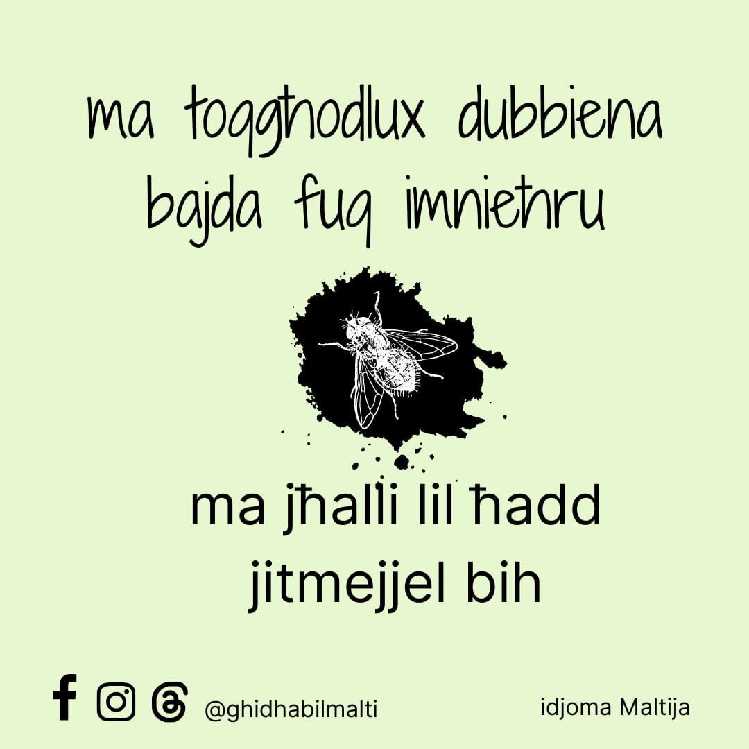 Ma toqgħodlux dubbiena bajda fuq imnieħru