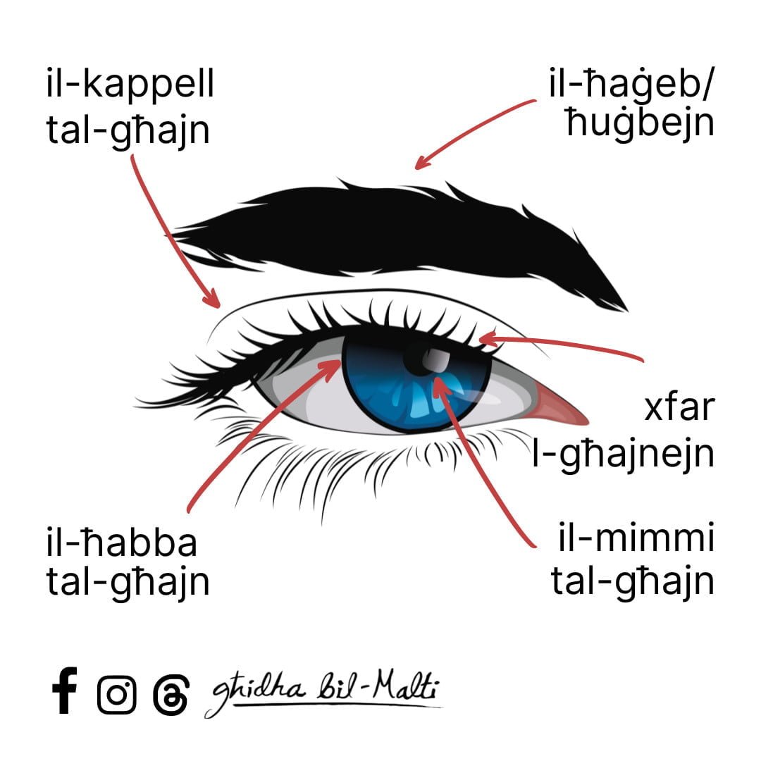 X’għandek f’għajnejk?