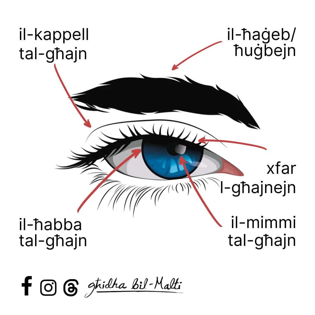 X’għandek f’għajnejk?