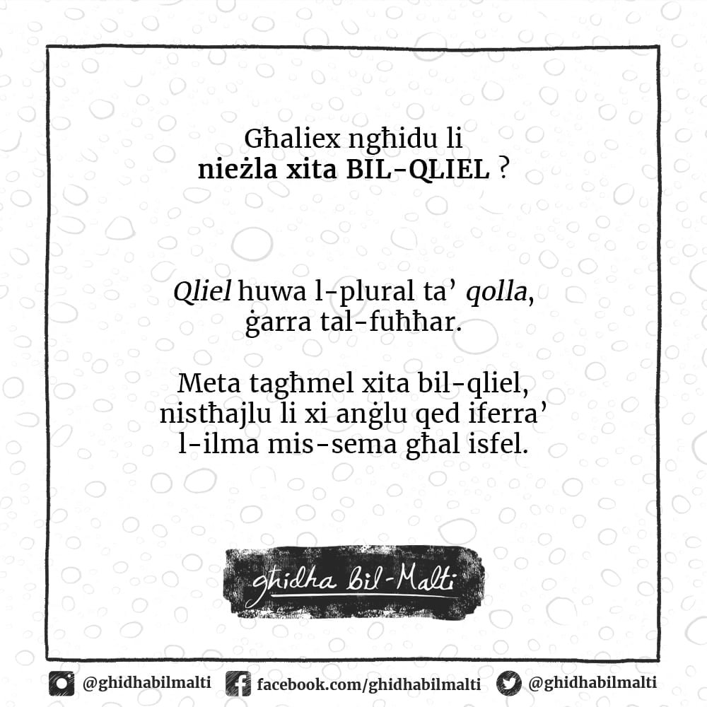 Xita bil-qliel