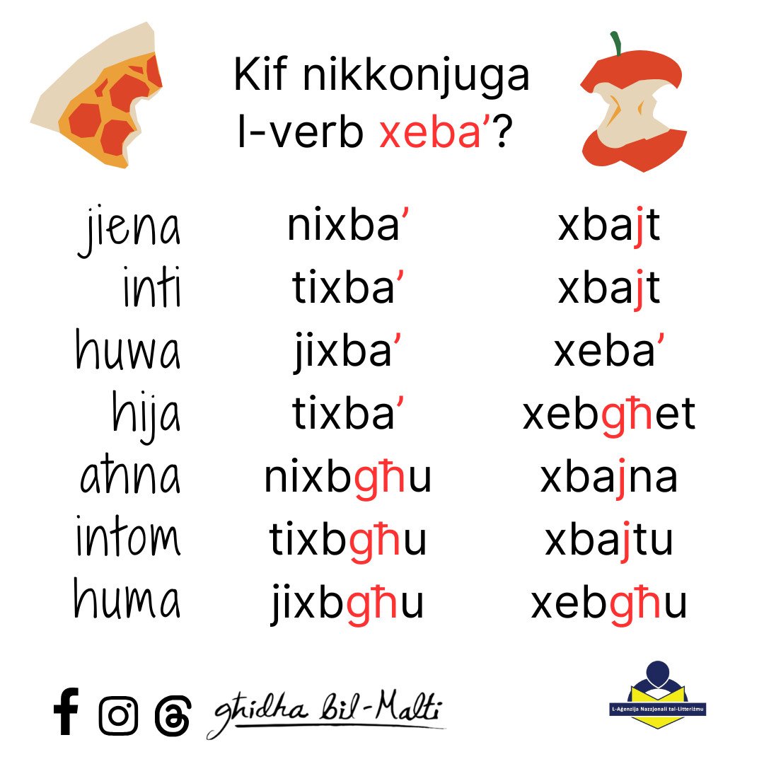 Il-verb xeba’
