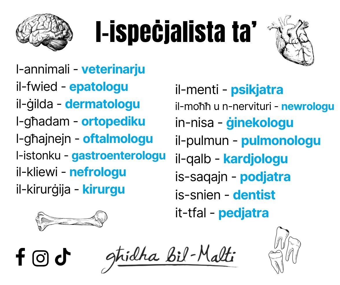 L-ispeċjalista ta’…