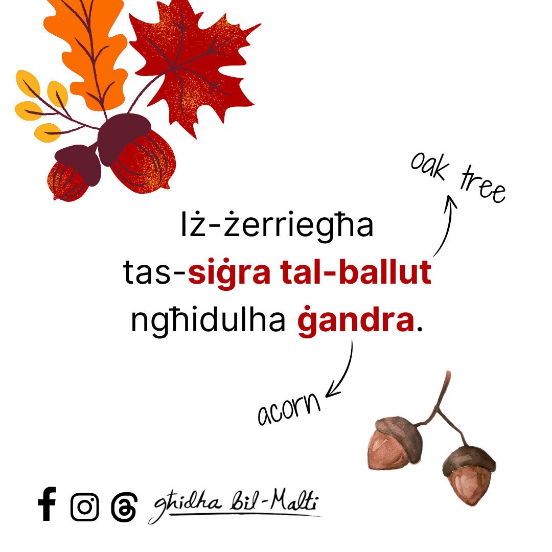 Iż-żerriegħa