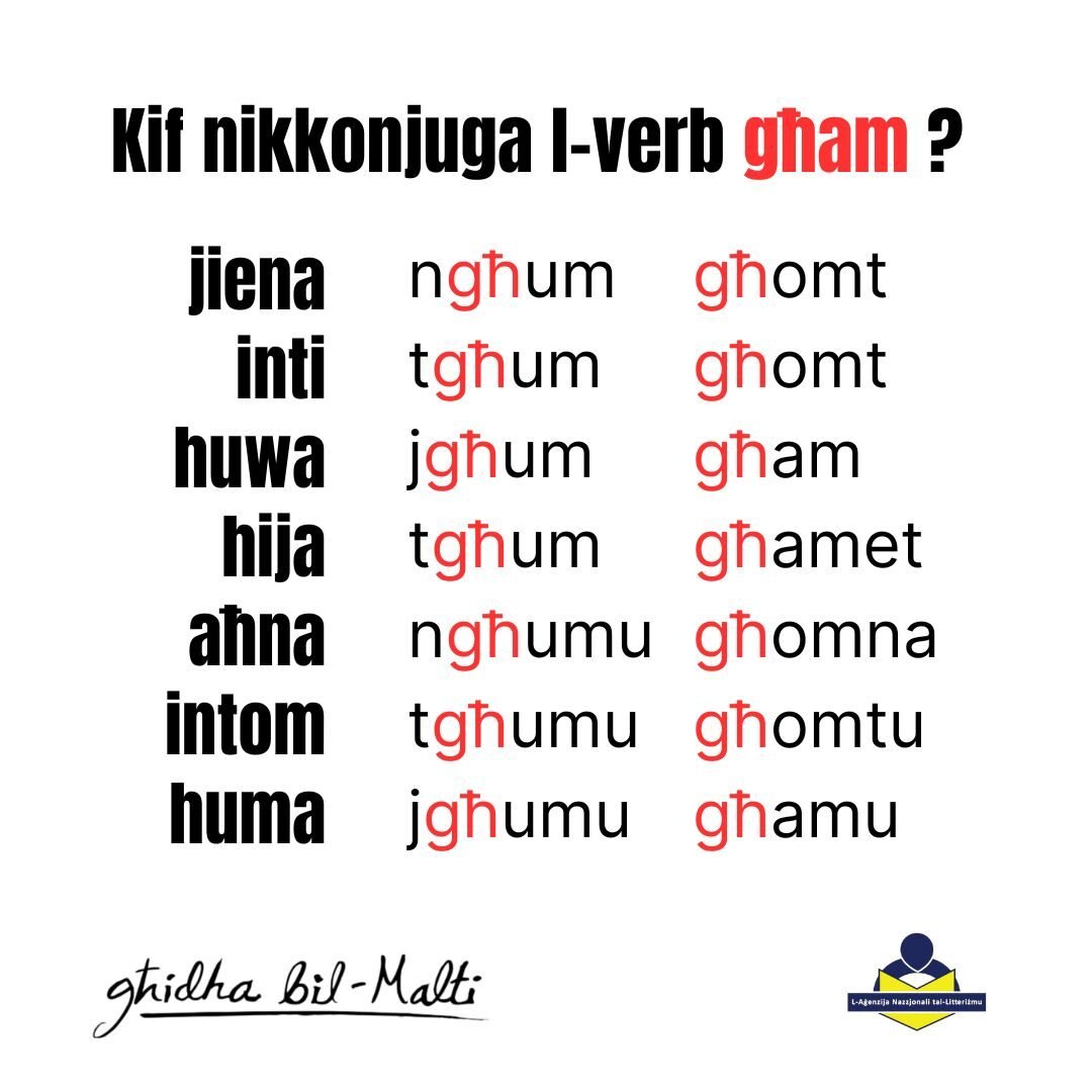 Il-verb għam