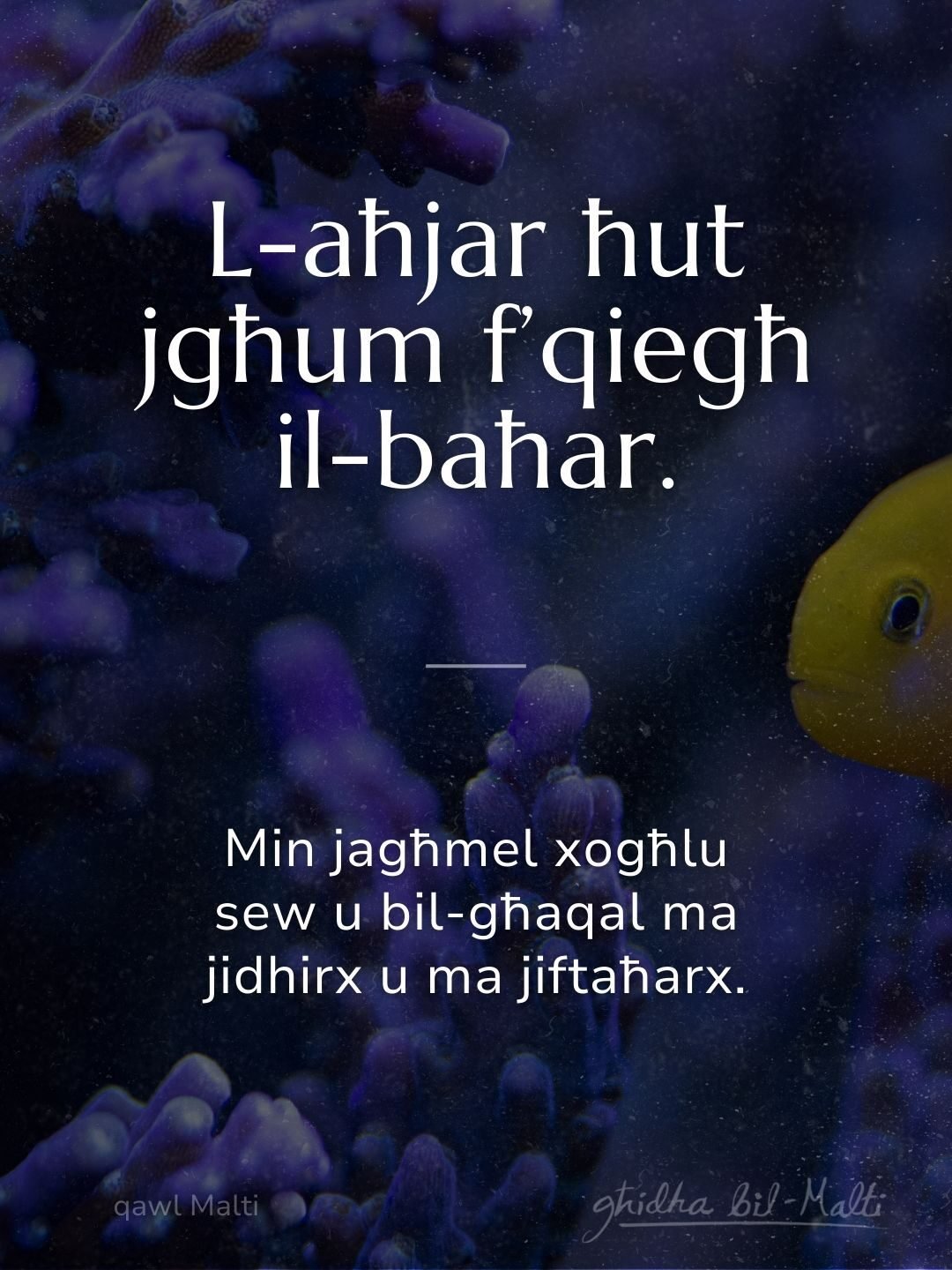 L-aħjar ħut jgħum f’qiegħ il-baħar