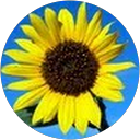Joseph B. profile picture