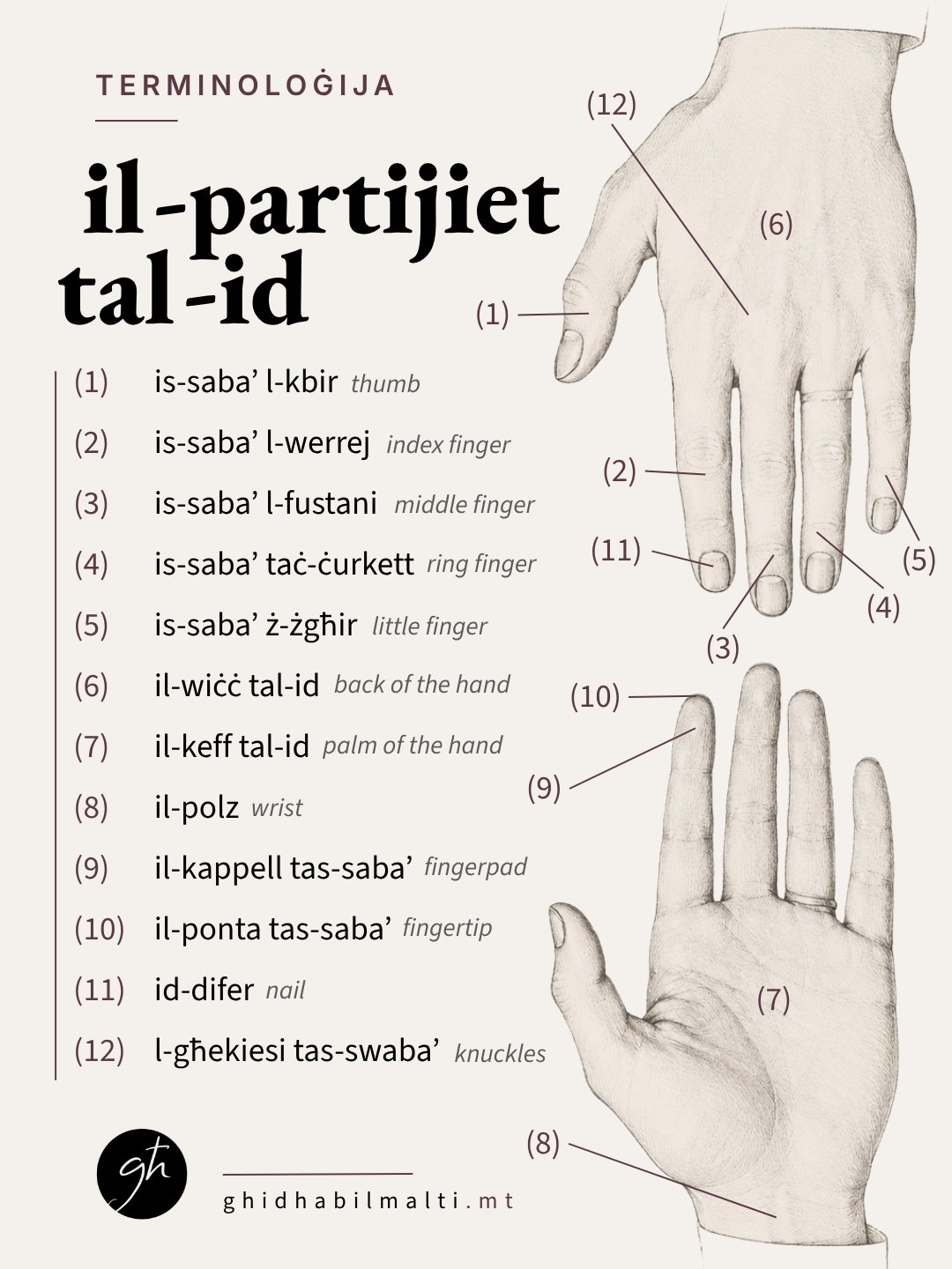 Il-partijiet tal-id