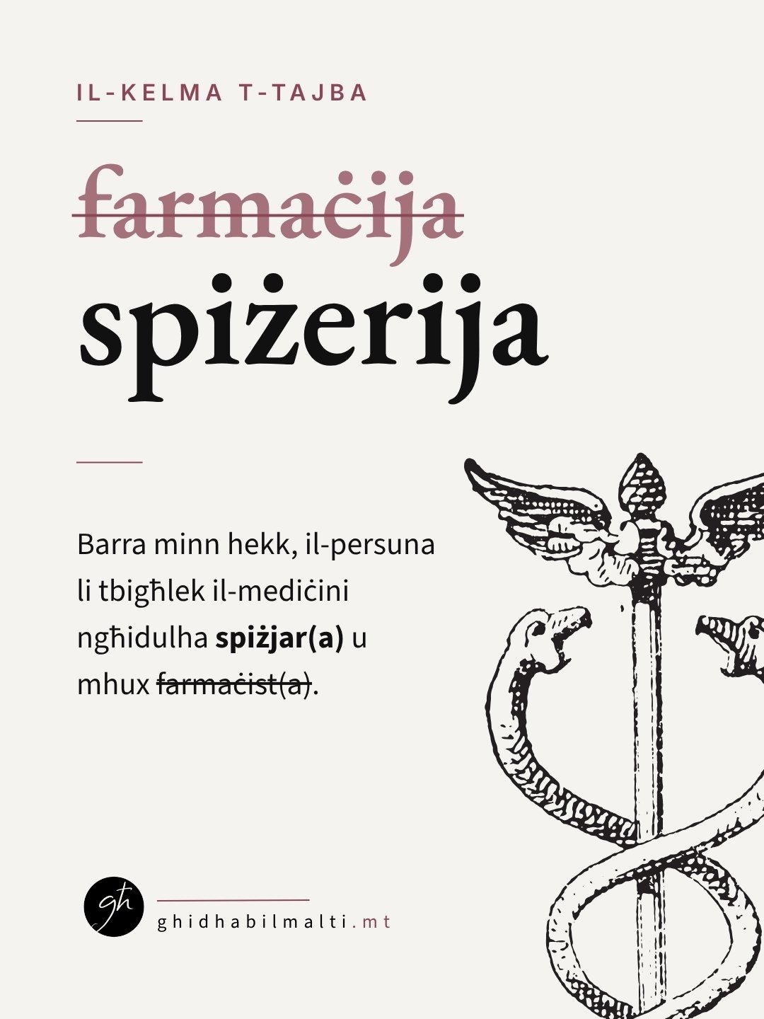 Spiżerija