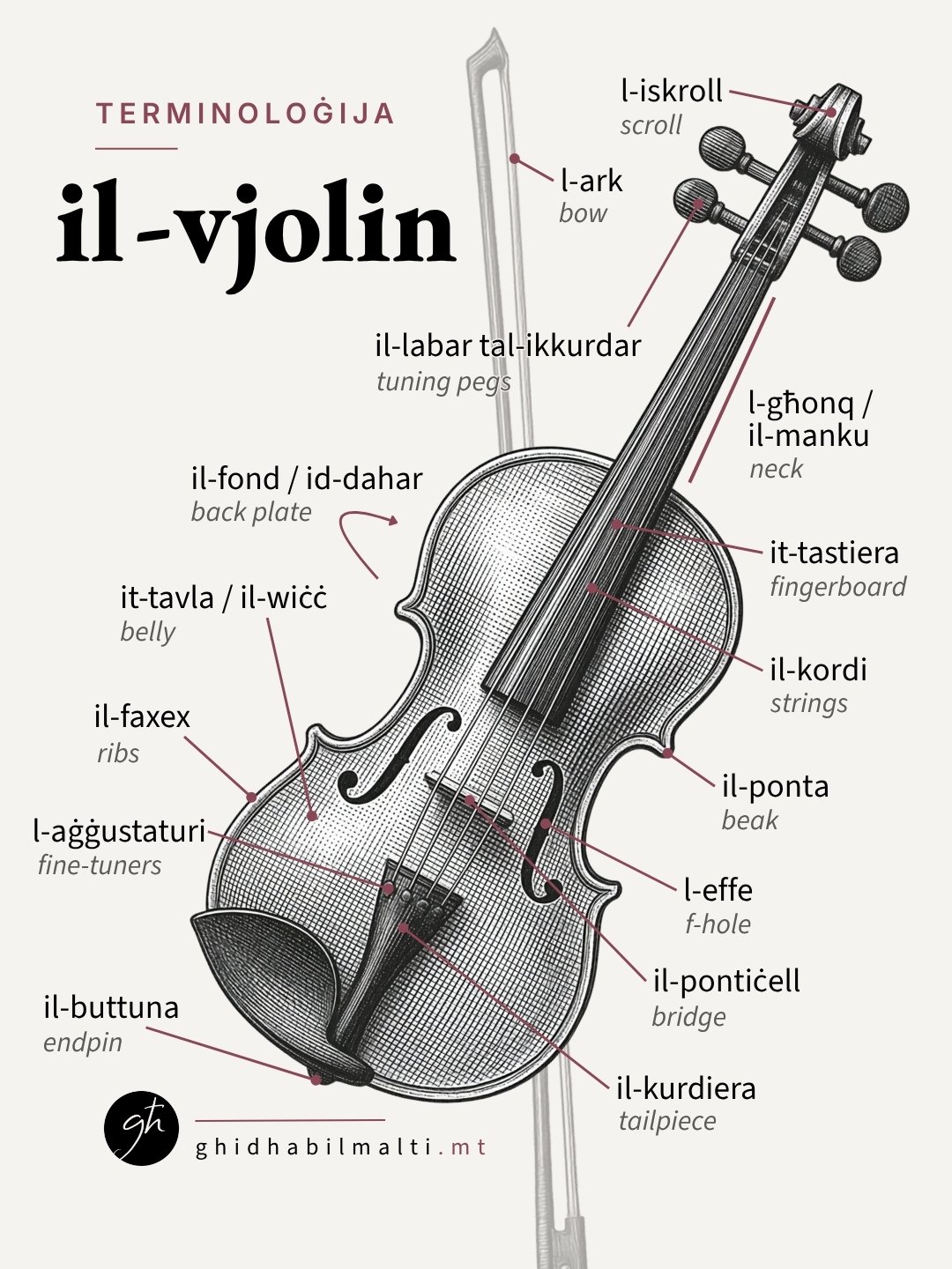 Il-vjolin